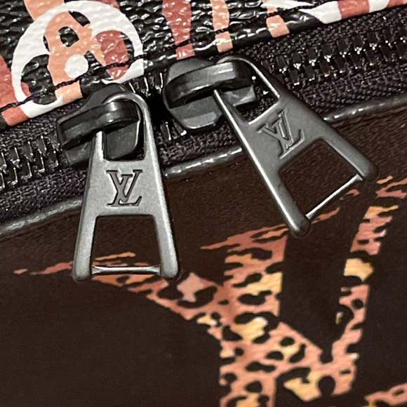 Louis Vuitton Jungle Palm Springs PM Backpack - Picture 12 of 16